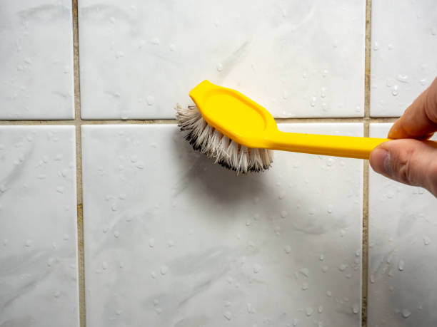 Best Best Mold Removal Companies  in Loma Ri, CA