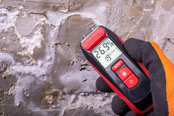 Best Attic Mold Removal  in Loma Ri, CA