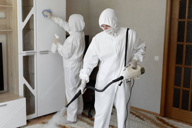Best Local Mold Removal Service  in Loma Ri, CA