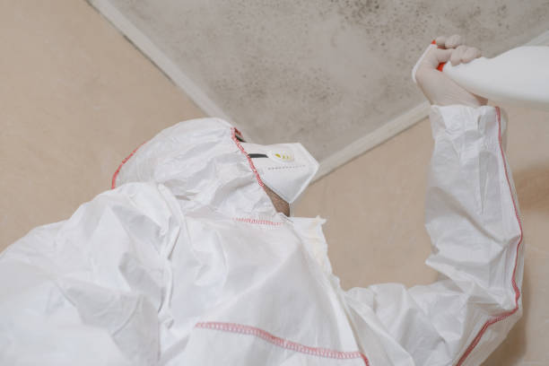 Best Mold Remediation Services  in Loma Ri, CA