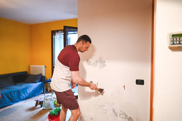 Best Toxic Mold Removal  in Loma Ri, CA